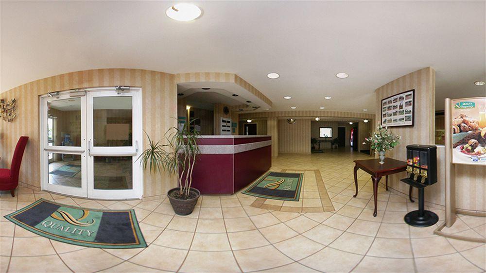 Quality Inn Chester - South Richmond מראה חיצוני תמונה