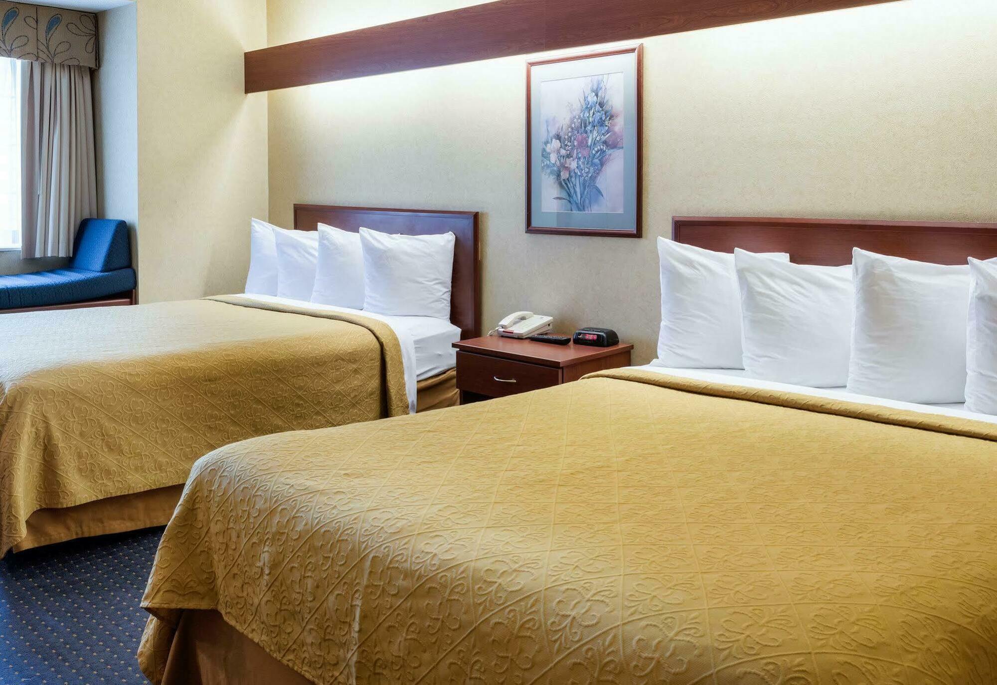Quality Inn Chester - South Richmond מראה חיצוני תמונה