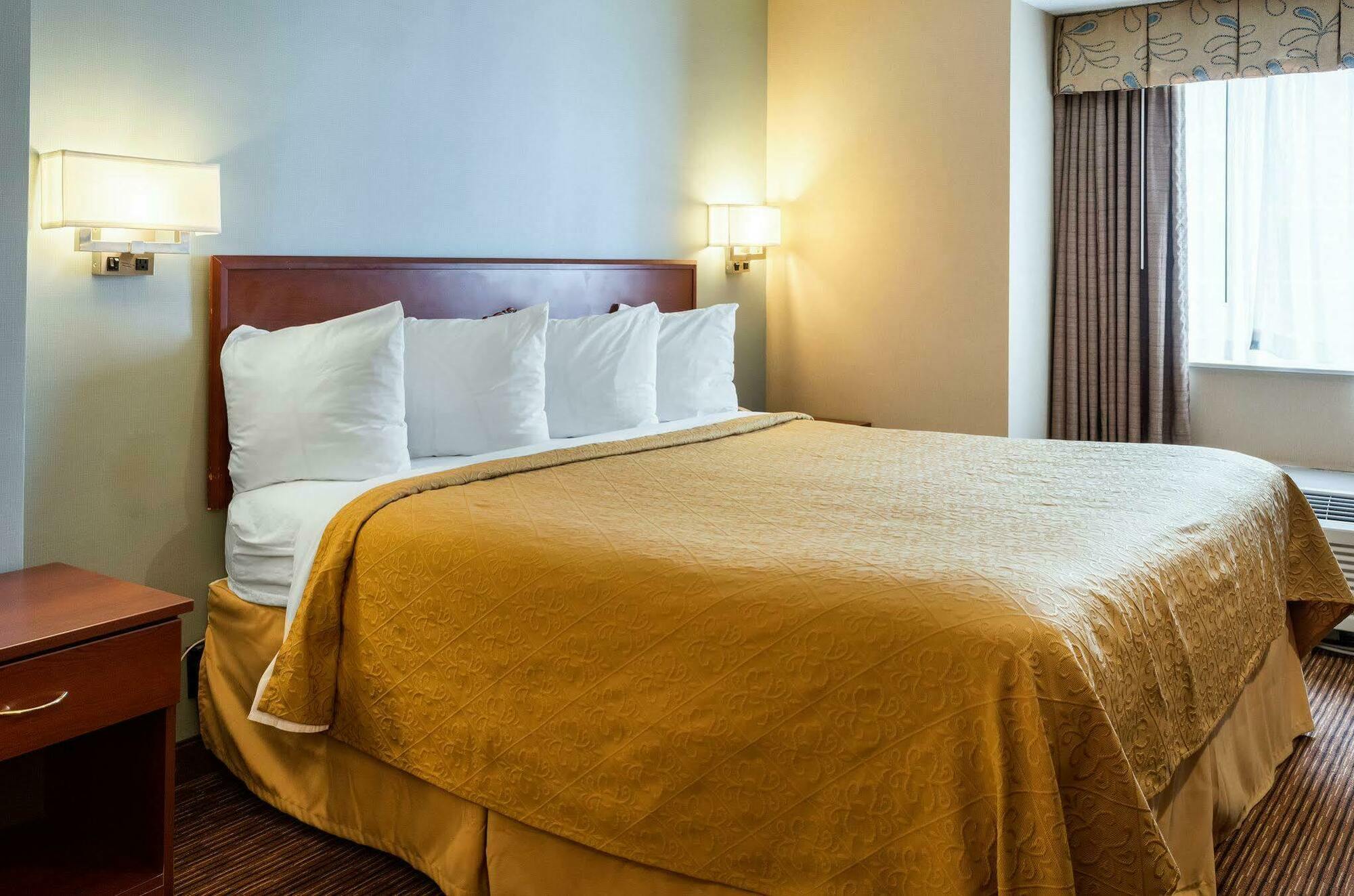 Quality Inn Chester - South Richmond מראה חיצוני תמונה